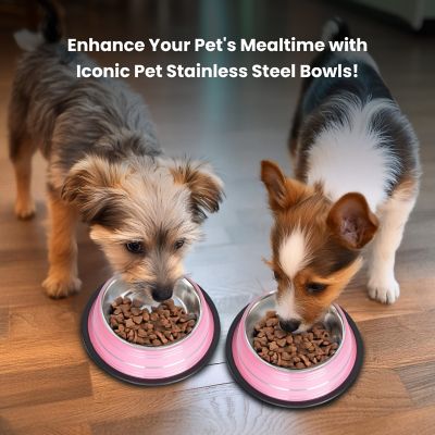 Image showing  Color Splash Stripe Non-Skid Stainless Steel Pet Bowls for Dog or Cat, 2-Bowls, 51466