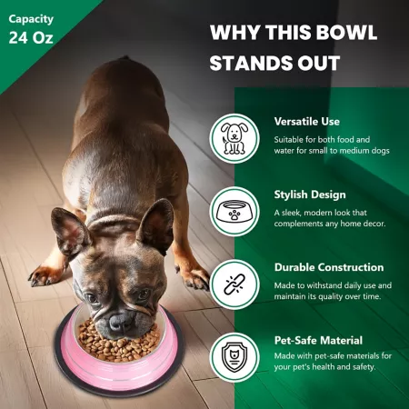 Iconic Pet Color Splash Stripe Non-Slip Stainless Steel Dog or Cat Bowls 2 Bowls 51467 Double Diners