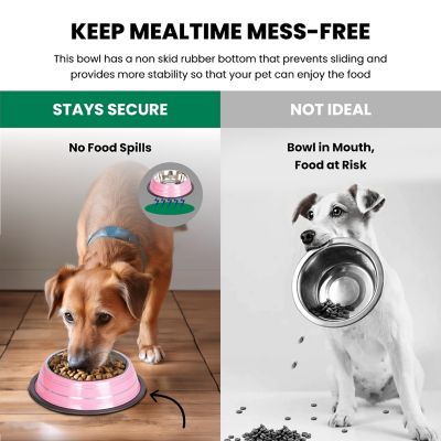 Image showing  Color Splash Stripe Non-Skid Stainless Steel Pet Bowls for Dog or Cat, 2-Bowls, 51467