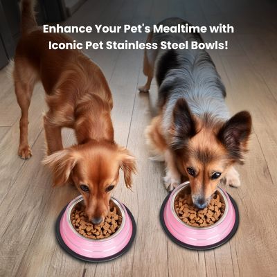 Image showing  Color Splash Stripe Non-Skid Stainless Steel Pet Bowls for Dog or Cat, 2-Bowls, 51467