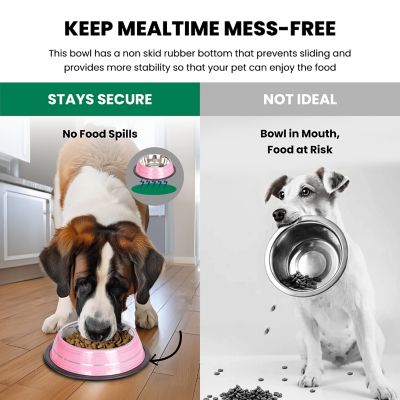 Image showing 2 th Iconic Pet Color Splash Stripe Non-Skid Stainless Steel Pet Bowls for Dog or Cat, 2-Bowls, 51469