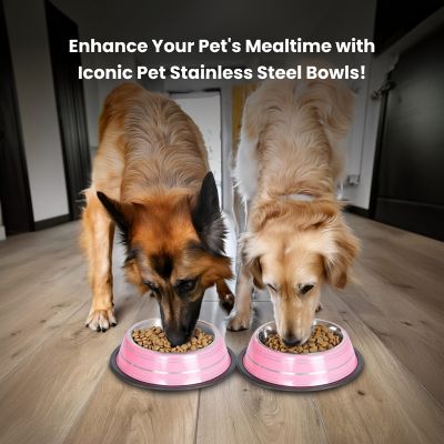 Image showing 4 th Iconic Pet Color Splash Stripe Non-Skid Stainless Steel Pet Bowls for Dog or Cat, 2-Bowls, 51469