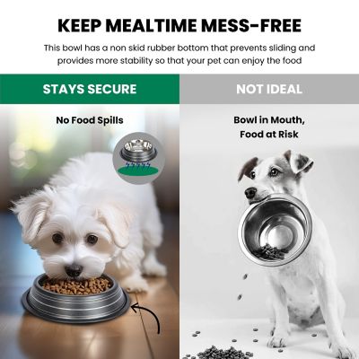 Image showing  Color Splash Stripe Non-Skid Stainless Steel Pet Bowls for Dog or Cat, 2-Bowls, 51465