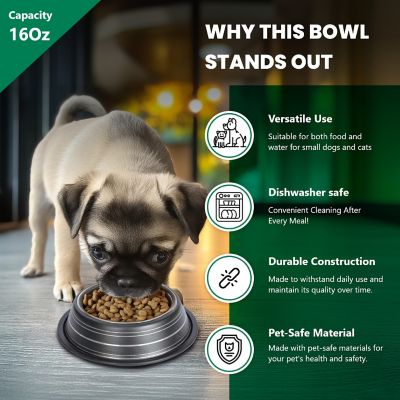 Image showing  Color Splash Stripe Non-Skid Stainless Steel Pet Bowls for Dog or Cat, 2-Bowls, 51466