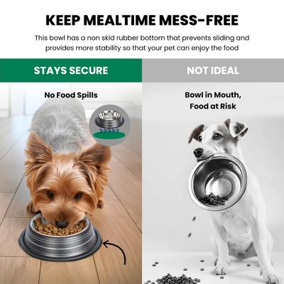 Image showing  Color Splash Stripe Non-Skid Stainless Steel Pet Bowls for Dog or Cat, 2-Bowls, 51466
