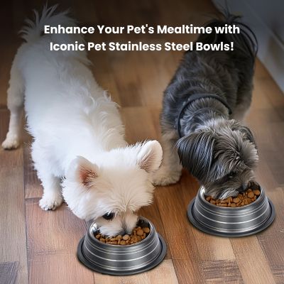 Image showing  Color Splash Stripe Non-Skid Stainless Steel Pet Bowls for Dog or Cat, 2-Bowls, 51466