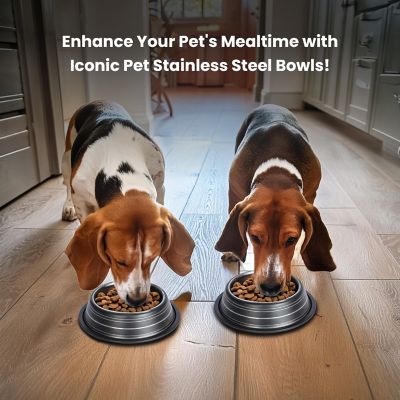 Image showing  Color Splash Stripe Non-Skid Stainless Steel Pet Bowls for Dog or Cat, 2-Bowls, 51467