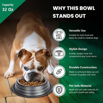 Image showing  Color Splash Stripe Non-Skid Stainless Steel Pet Bowls for Dog or Cat, 2-Bowls