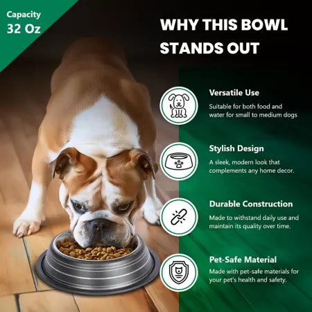 Iconic Pet Color Splash Stripe Non-Slip Stainless Steel Dog or Cat Bowls 2 Bowls Double Diners