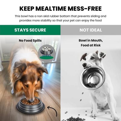 Image showing  Color Splash Stripe Non-Skid Stainless Steel Pet Bowls for Dog or Cat, 2-Bowls