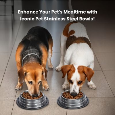Image showing  Color Splash Stripe Non-Skid Stainless Steel Pet Bowls for Dog or Cat, 2-Bowls