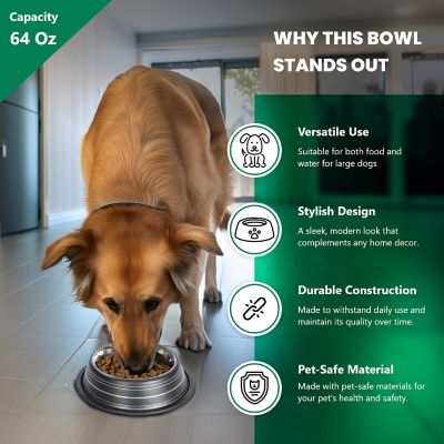 Image showing 1 th Iconic Pet Color Splash Stripe Non-Skid Stainless Steel Pet Bowls for Dog or Cat, 2-Bowls, 51469