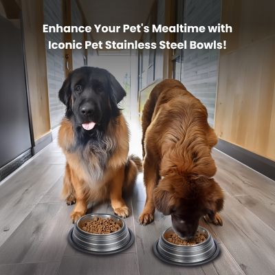 Image showing 3 th Iconic Pet Color Splash Stripe Non-Skid Stainless Steel Pet Bowls for Dog or Cat, 2-Bowls, 51469