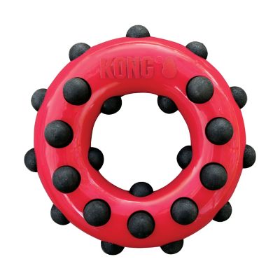 KONG Dotz Circle Dog Toy, Large