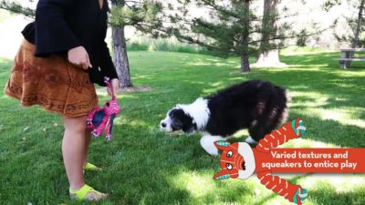 Image showing  Floppy Knots Fox Dog Toy