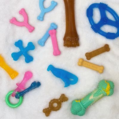 Image showing  Nyla Puppy Chew Teething Pacifier