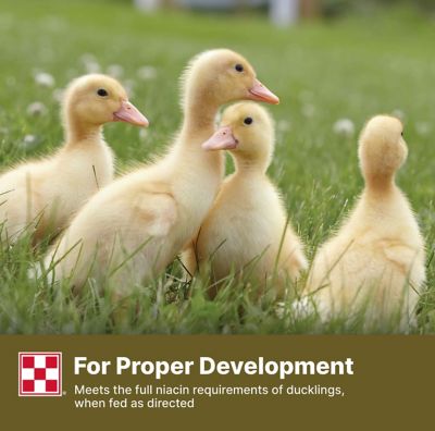 Image showing  Pelleted Duck Feed