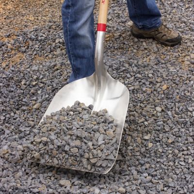 Image showing  48 in. Hardwood Handle #10 Aluminum Scoop