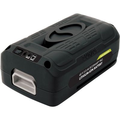 Snow Joe 40V 5.0 Ah EcoSharp Pro Lithium-Ion Battery