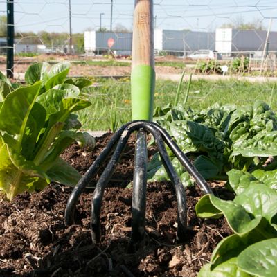 Image showing  5-Tine Floral Garden Cultivator