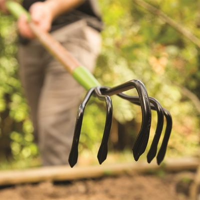 Image showing  5-Tine Floral Garden Cultivator