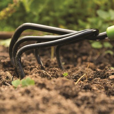 Image showing 5 th Ames 5-Tine Floral Garden Cultivator