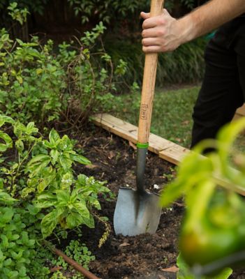 Image showing  42 in. Hardwood Handle Floral Digging Shovel