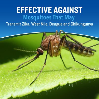 Image showing  Backwoods Insect Repellent, 2-Pack