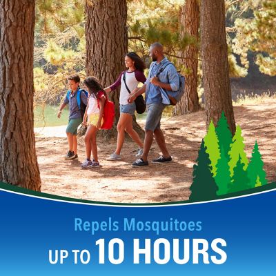 Image showing  Backwoods Insect Repellent, 2-Pack
