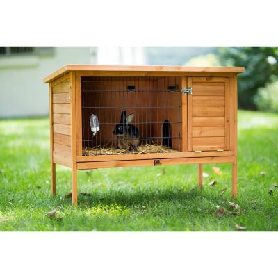 Image showing  1-Story Indoor/Outdoor Weather-Resistant Rabbit Hutch, Large, 46-1/2 in. x 24 in. x 36-1/4 in.