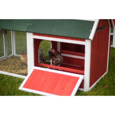 Image showing 9 th Prevue Pet Products Red Barn Chicken Coop, 4 to 6 Chicken Capacity