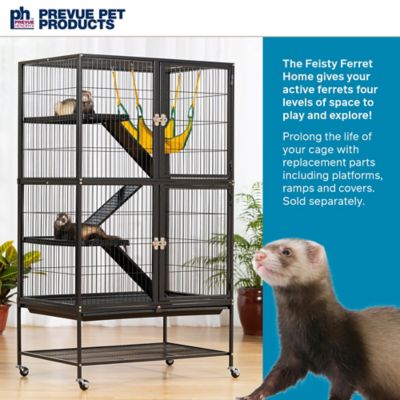 Image showing  Feisty Ferret Home, 31 in. x 20 in.