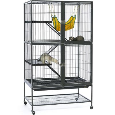 Image showing 5 th Prevue Pet Products Feisty Ferret Home, 31 in. x 20 in.