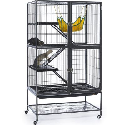 Image showing 6 th Prevue Pet Products Feisty Ferret Home, 31 in. x 20 in.