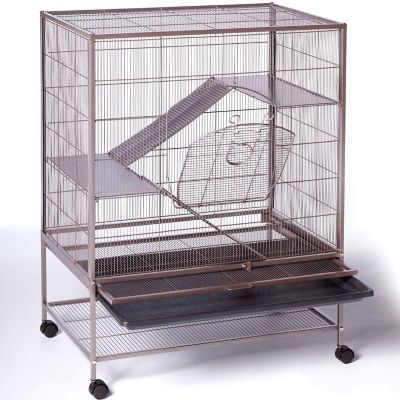 Image showing  Rat and Chinchilla Cage, 31 in. x 20.5 in.
