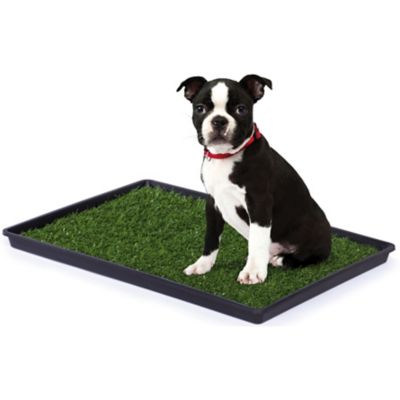 Image showing  Indoor/Outdoor Tinkle Potty Turf for Dogs