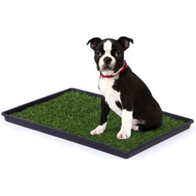 Prevue Pet Products Indoor/Outdoor Tinkle Potty Turf for Dogs