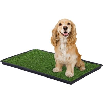 Prevue Pet Products Indoor/Outdoor Tinkle Potty Turf for Dogs