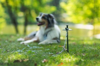 Image showing  Heavy-Duty Dog Tie Out Chain, 15 ft., Up to 150 lb. Capacity