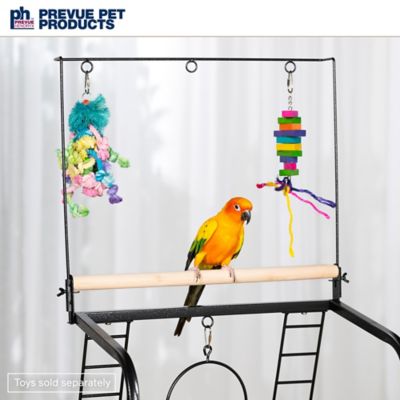 Image showing  Parrot Playstand, Small