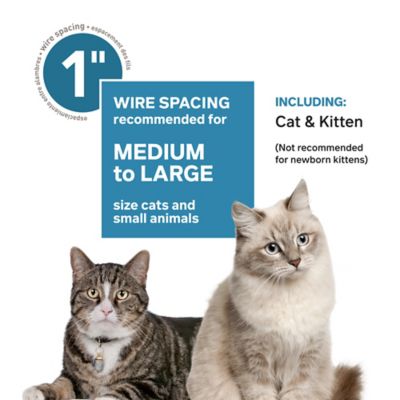 Image showing 12 th Prevue Pet Products Premium Cat Home, 65.75 in.