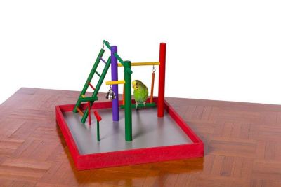 Image showing  Parakeet Park Pet Bird Playground