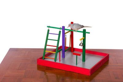 Image showing  Parakeet Park Pet Bird Playground