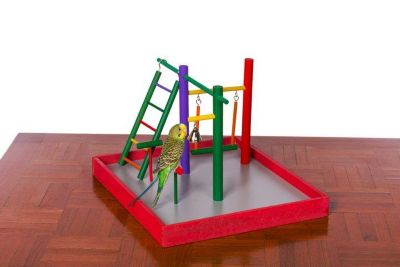 Image showing  Parakeet Park Pet Bird Playground