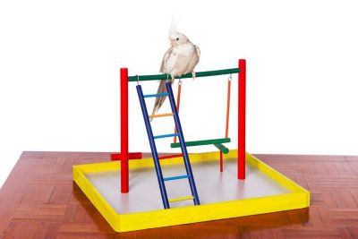 Image showing  Cockatiel Court Pet Bird Playground
