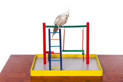 Image showing  Cockatiel Court Pet Bird Playground