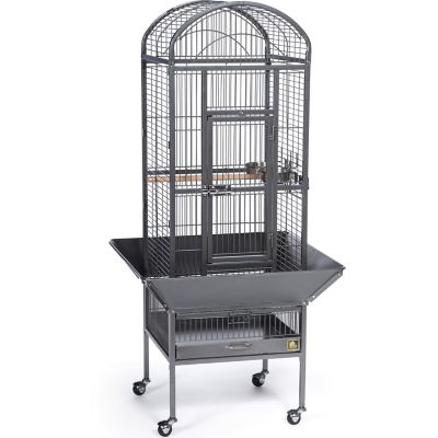 Prevue Pet Products Small Dometop Bird Cage Chalk At Tractor Supply Co