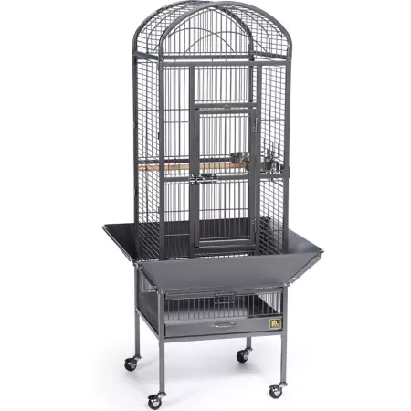 Prevue Pet Products Dometop 8-1/2-inch x 18-1/2-inch Bird Cage Chalk Black Small Pet Bird Cages