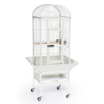 Prevue Pet Products Dometop Bird Cage in Chalk White, Small, Chalk