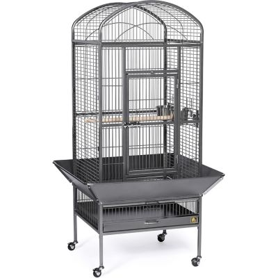 Prevue Pet Products Dometop Bird Cage, Medium, Chalk, Black
